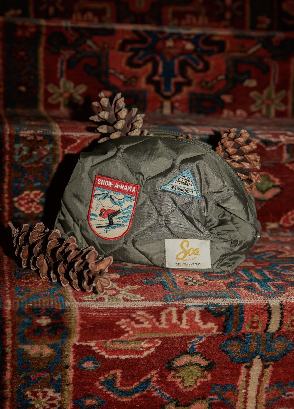 olive-eira cosmetic bag-editorial view