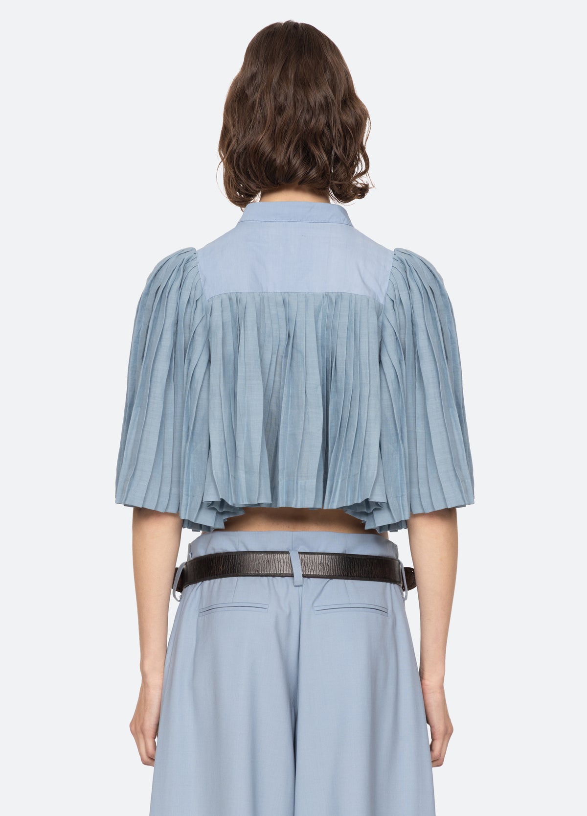 blue-solene s/s top-back view - 3
