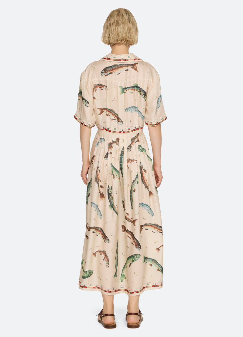multi-crew dress-back view - 4