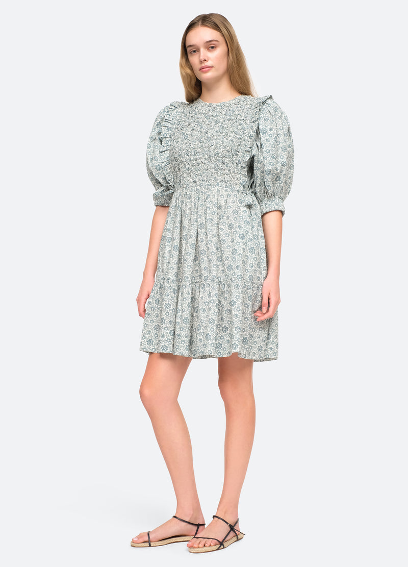 apple-ida puff slv dress-front view - 1