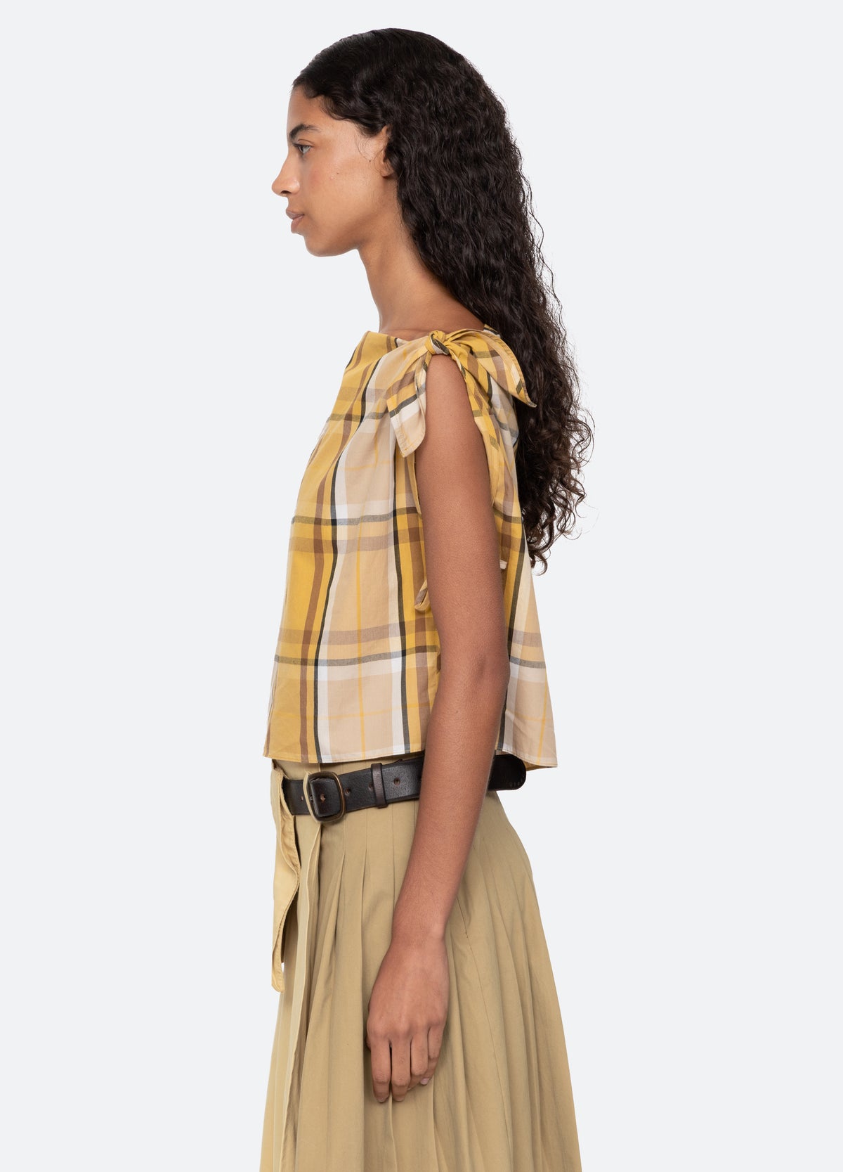 yellow-copeland top-side view - 4
