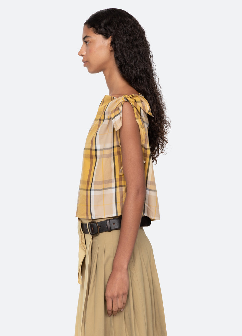 yellow-copeland top-side view - 4
